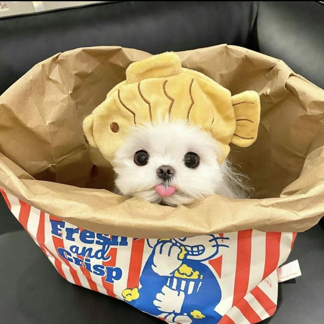 雷子